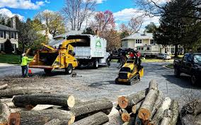 Best Lawn Renovation and Restoration  in Clarks Green, PA