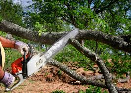 Best Lawn Irrigation Installation and Maintenance  in Clarks Green, PA